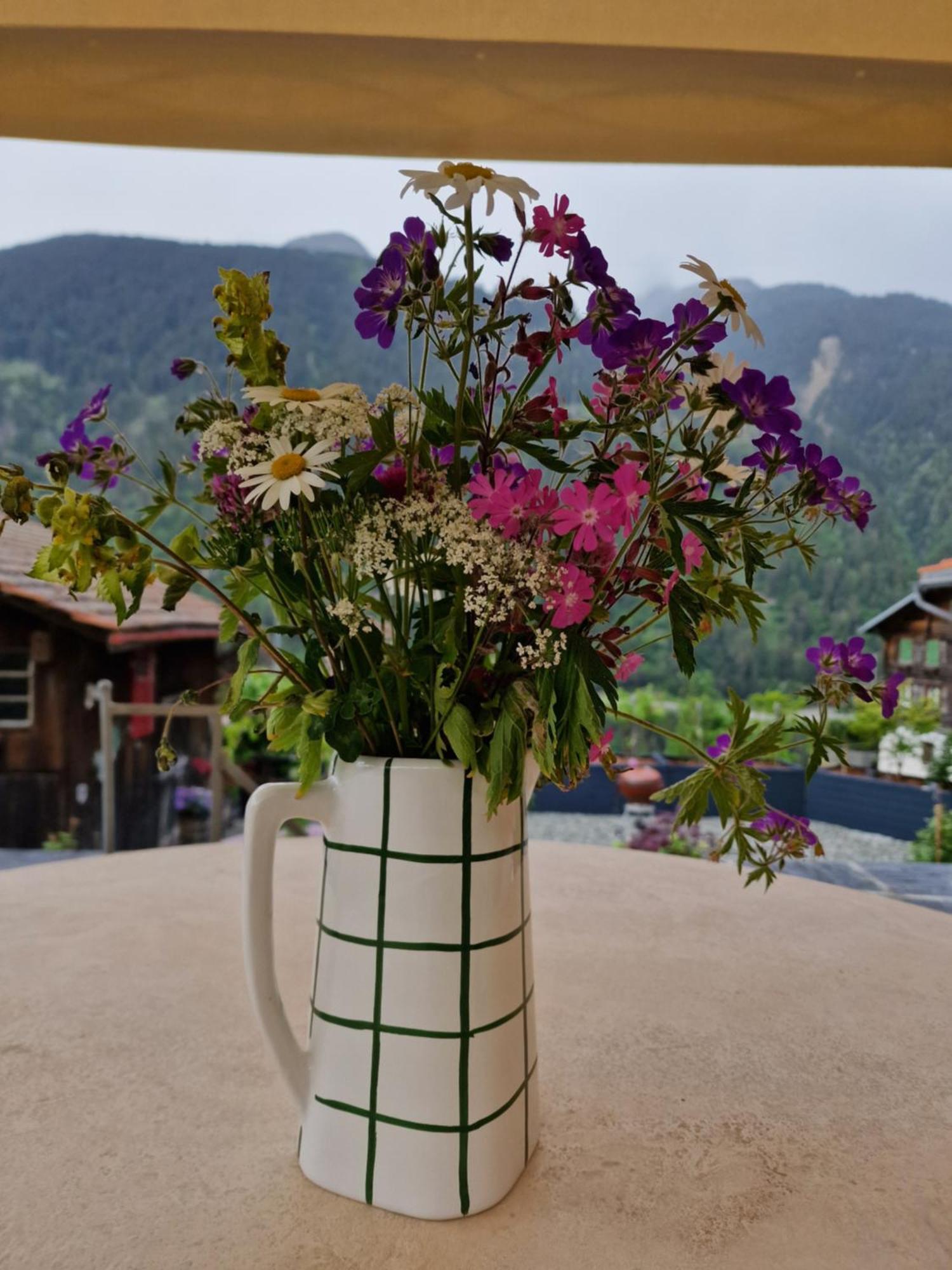 Chesa Prema Bed & Breakfast - Restaurant Disentis Dış mekan fotoğraf
